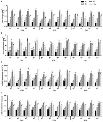 Influence of biochar and microorganism co-application on stabilization of cadmium (Cd) and improved maize growth in Cd-contaminated soil